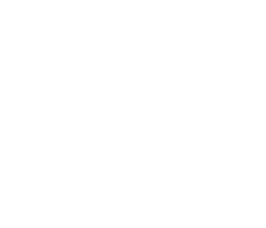 Audit & Analysis