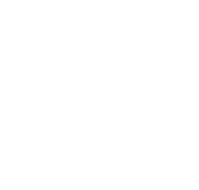 Continuous Optimization